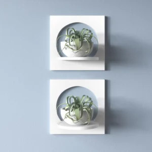 Agran 2 Piece Square Accent Shelf (Set of 2)
